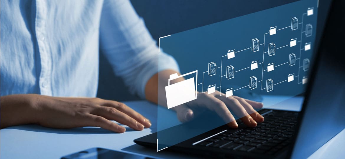 Digital Platform & Business Administration Services