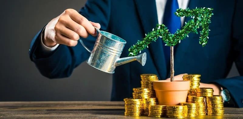Investment Support Services